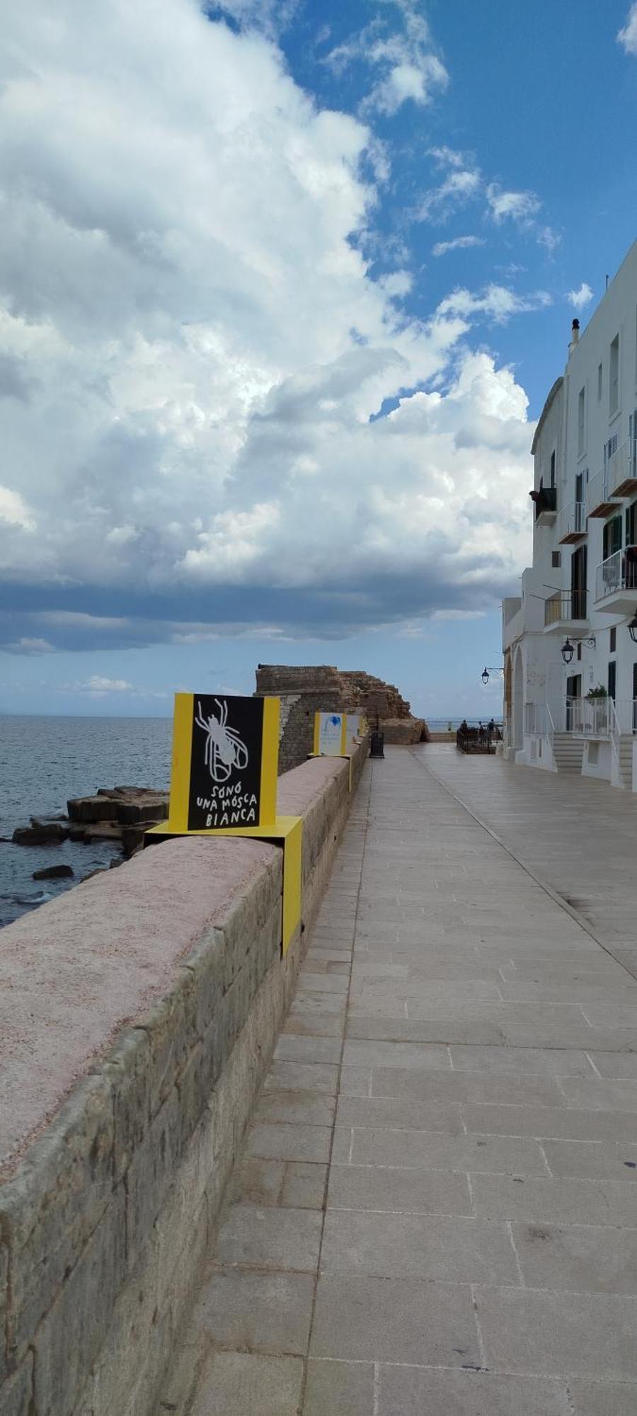 A Casa Di Ru, Bellissimo Appartamento Con Sauna Monopoli Dış mekan fotoğraf